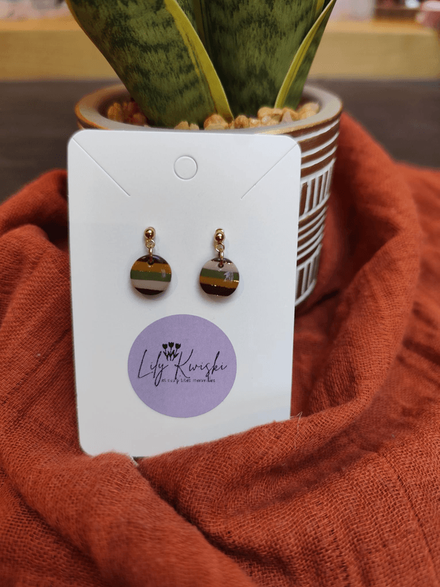 Boucles d'oreilles 