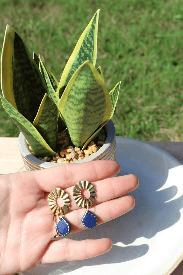 Boucles d&#039;oreilles 
