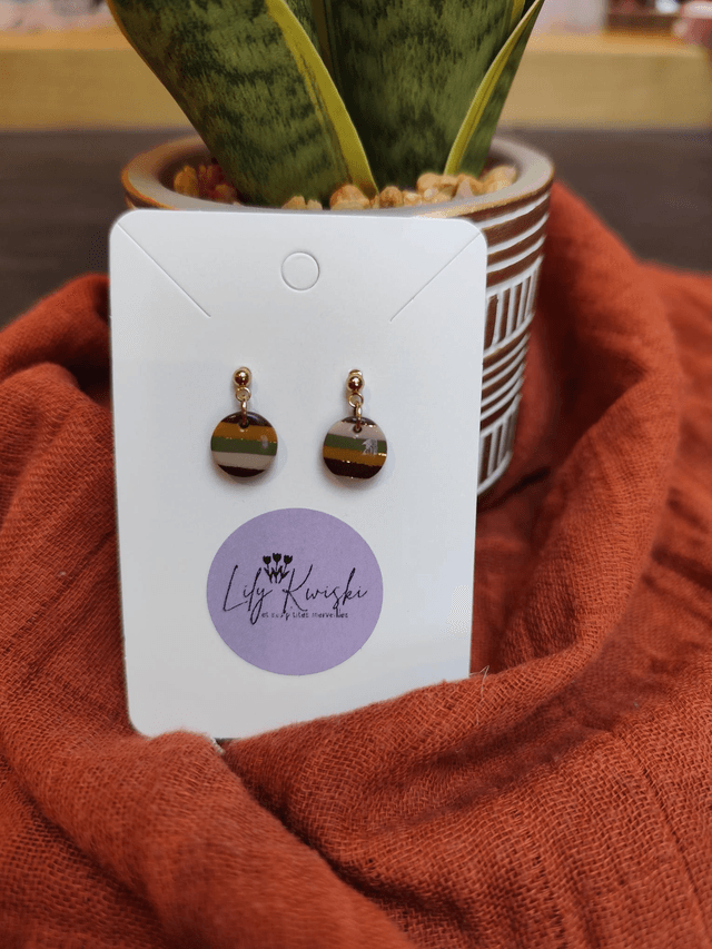 Boucles d&#039;oreilles 