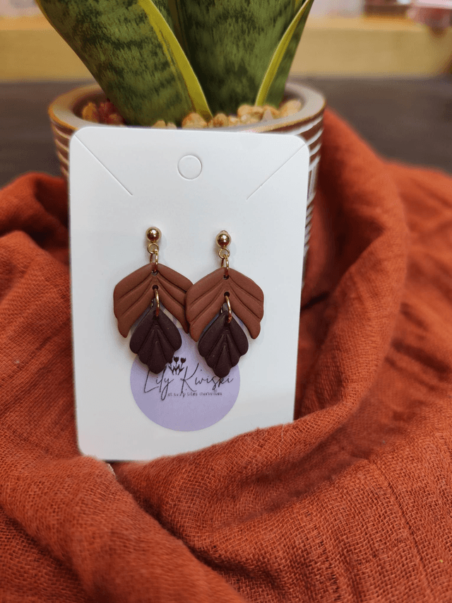 Boucles d&#039;oreilles 